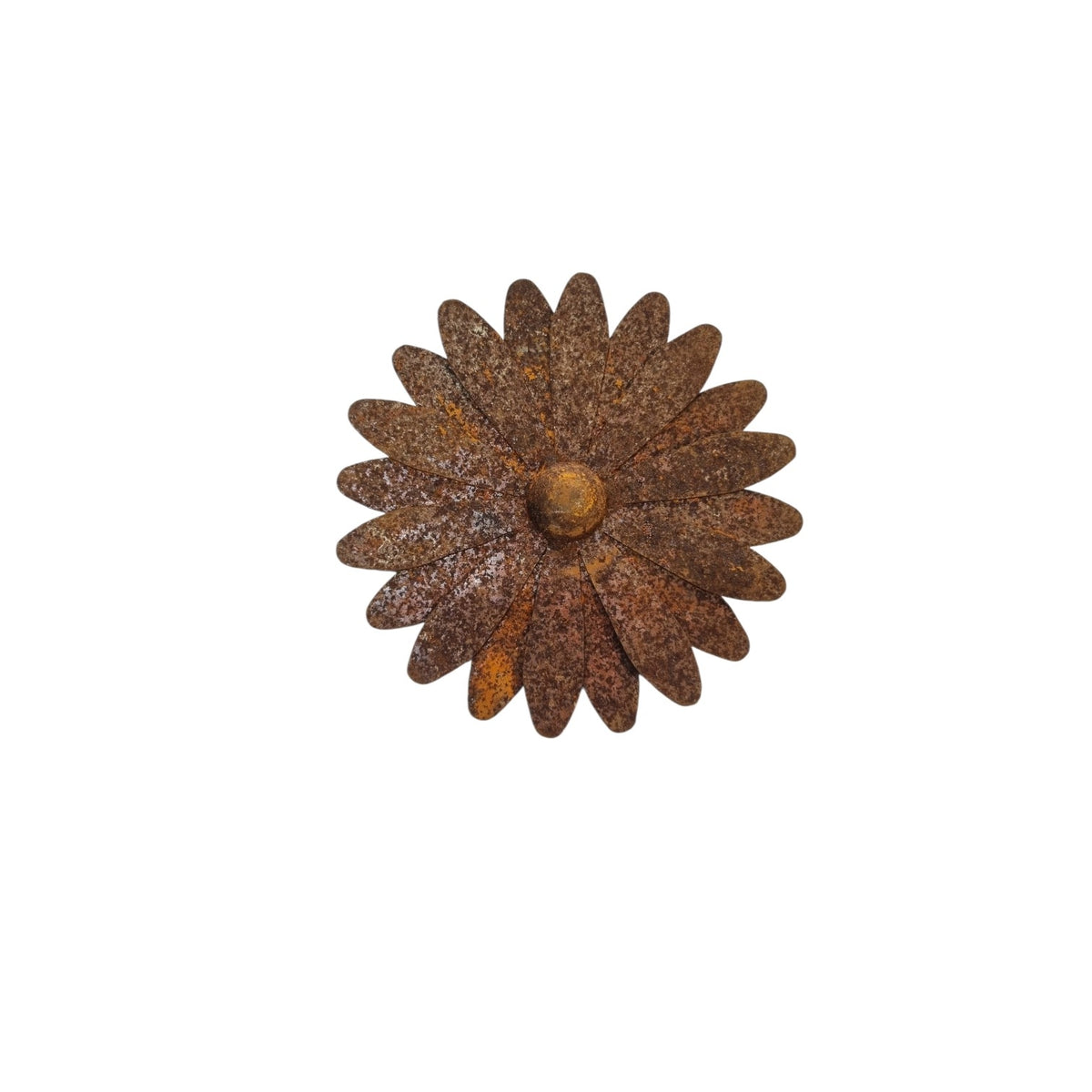 Daisy Small Rusty