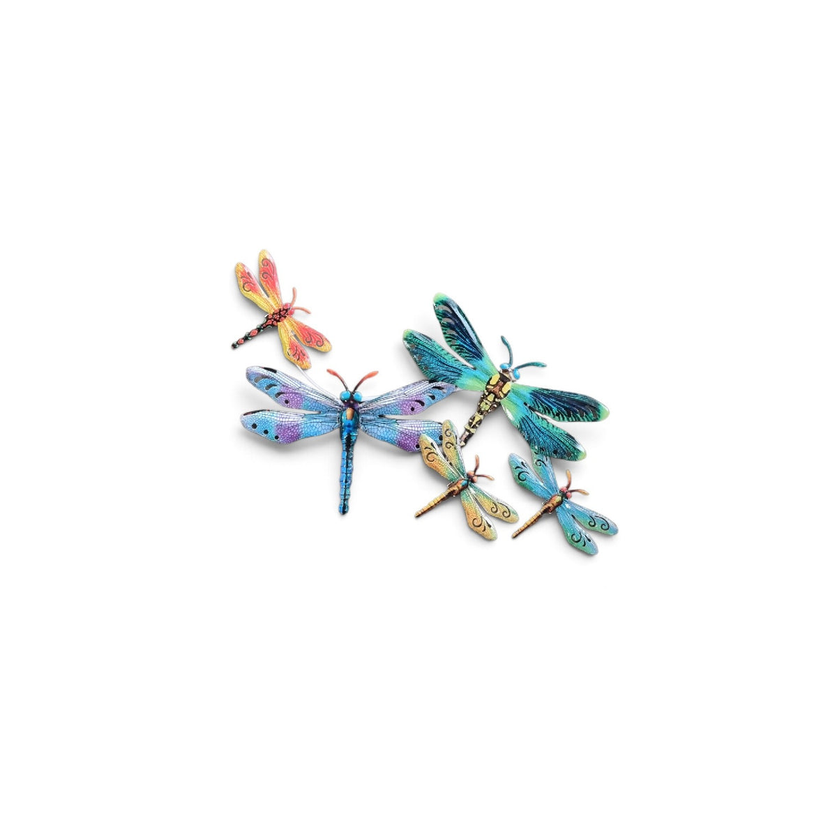 Dragonfly Group