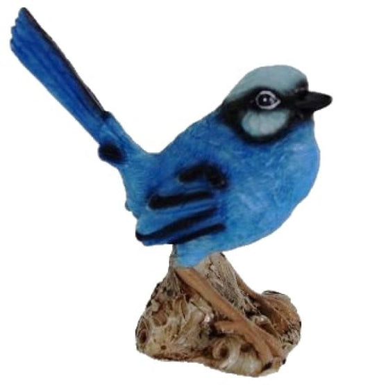Blue Wren