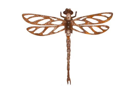 Dragonfly Rust