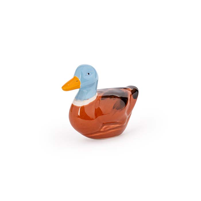 Duck Floating Blue Head