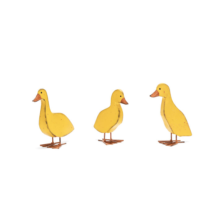 Ducklings Assorted - Yellow