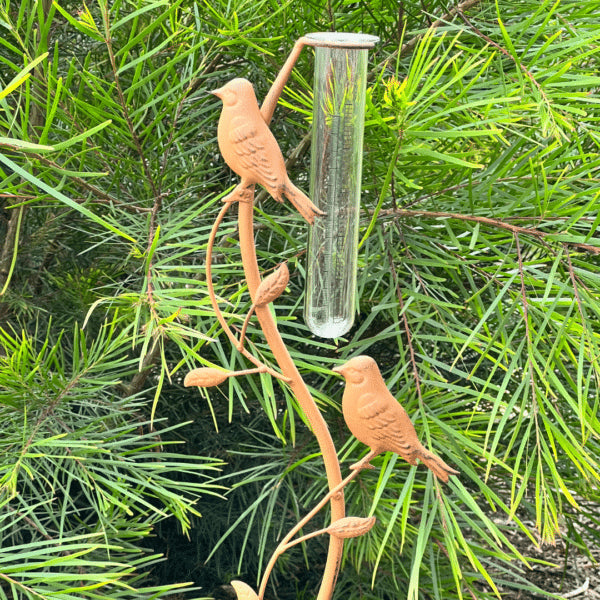 Garden With Birds Rain Gauge