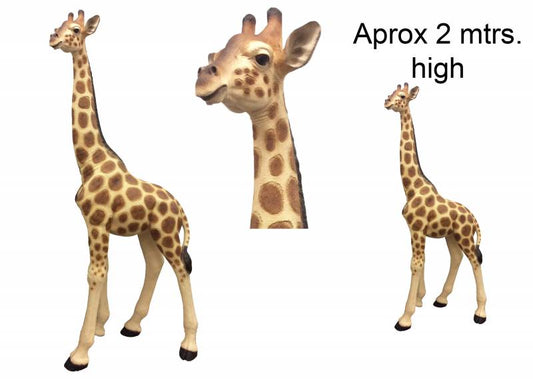 Giraffe -Large