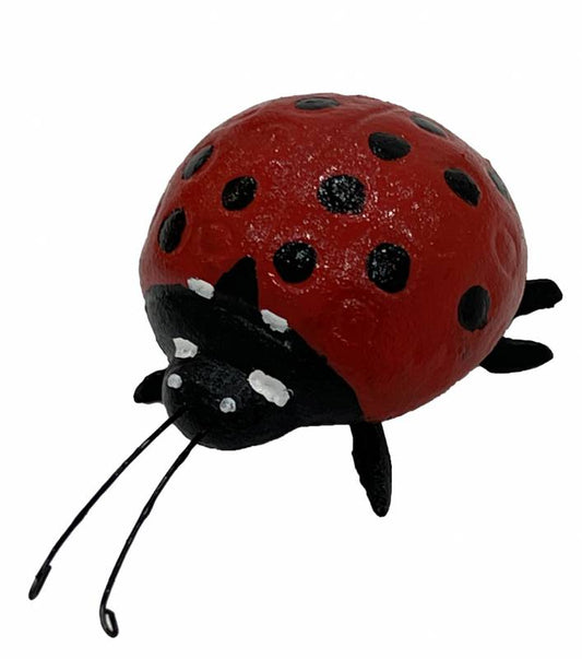Lady Bug