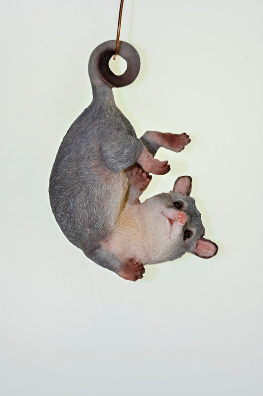 Ringtail Possum - Hanging 53 cm