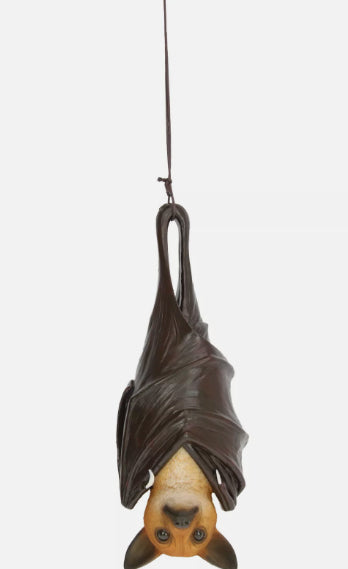 Hanging Bat