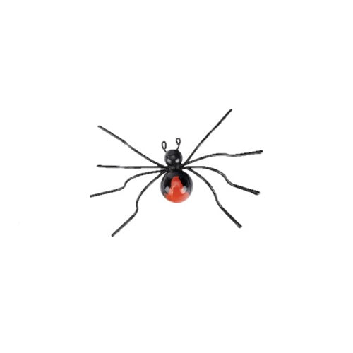 Redback Spider