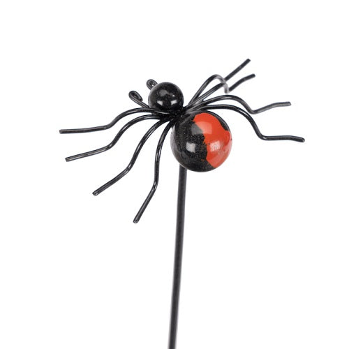 Redback Spider on Stick