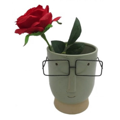 Sunglass Plant Pot