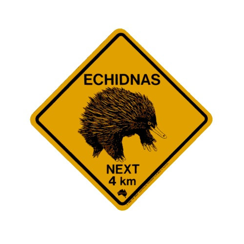 Echidnas Magnet