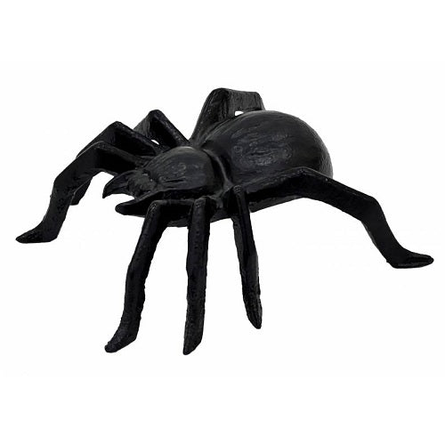 Spider Large