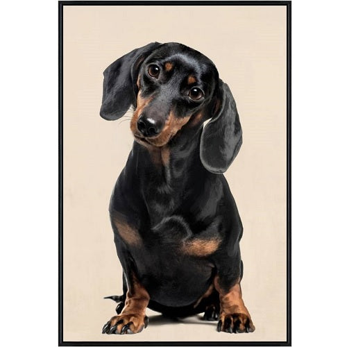 Dachshund Timothy Canvas