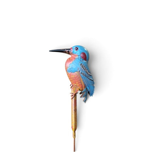 Kingfisher on Bulrush