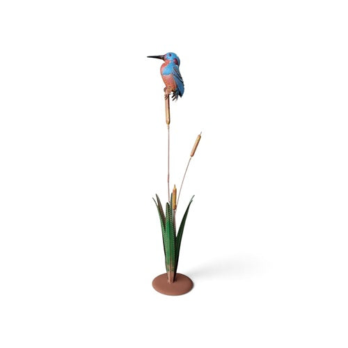 Kingfisher on Bulrush
