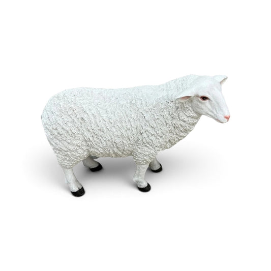 Sheep Standing - Lifesize