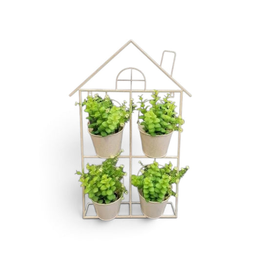 Wall Planter