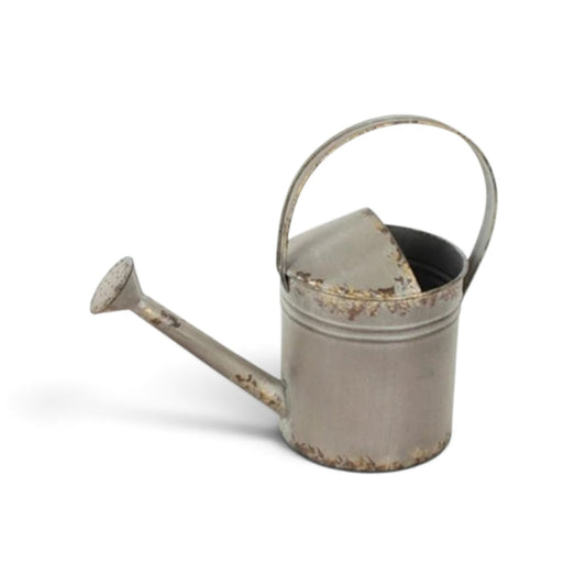 Tin Watering Can
