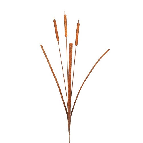 Bullrush Rusty