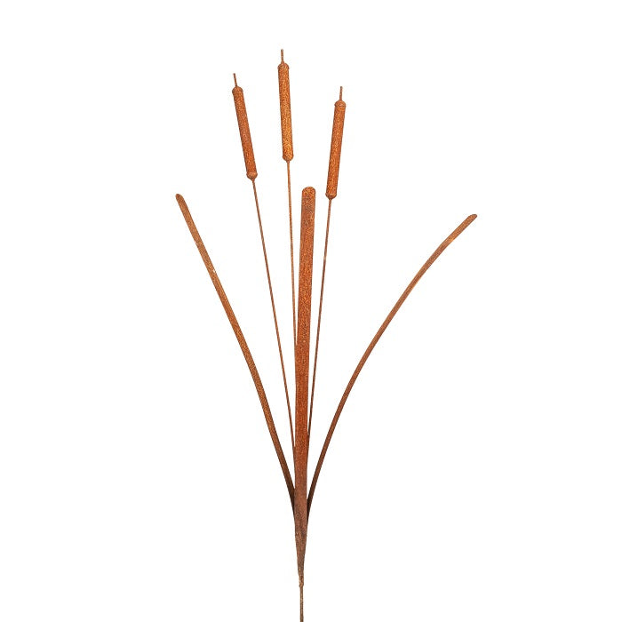 Bullrush Rusty