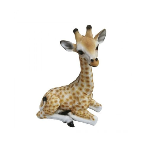 Baby Giraffe-  Sitting