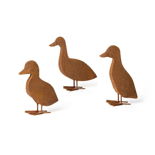 Ducklngs-Rusty-Assorted