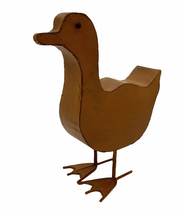 Duck Standing