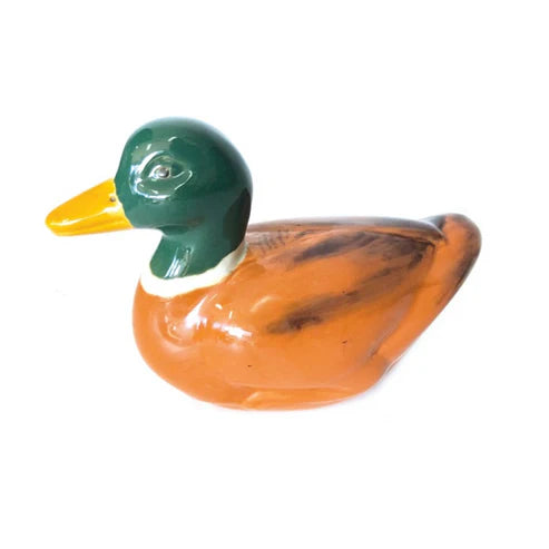 Floating Duck-Green Head