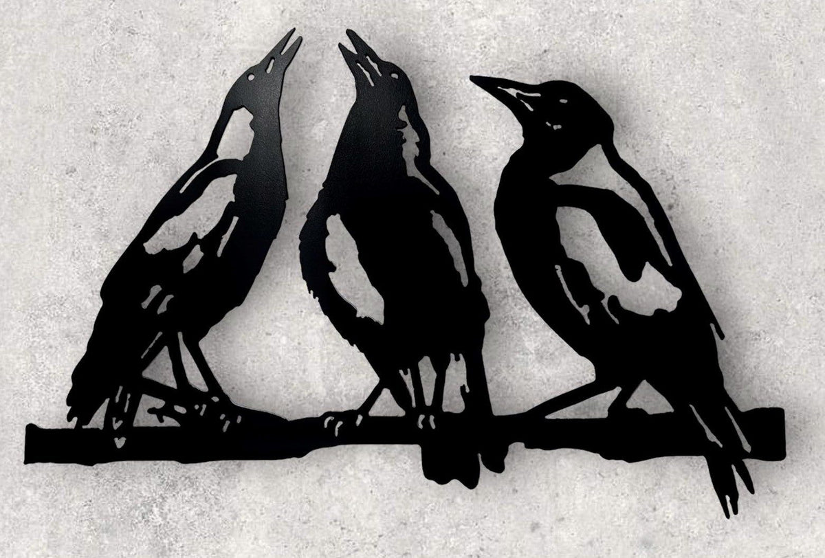 Magpie Trio -  Wall Art
