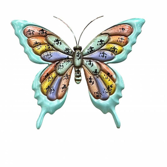 Butterfly Multi Colour