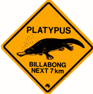 Platypus Magnet