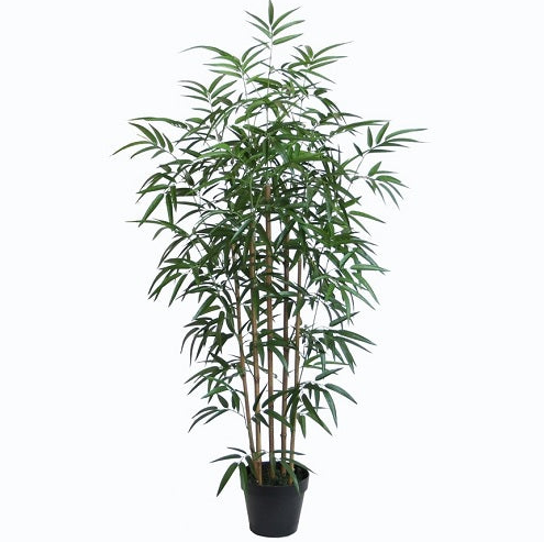 Bamboo Plant- Faux