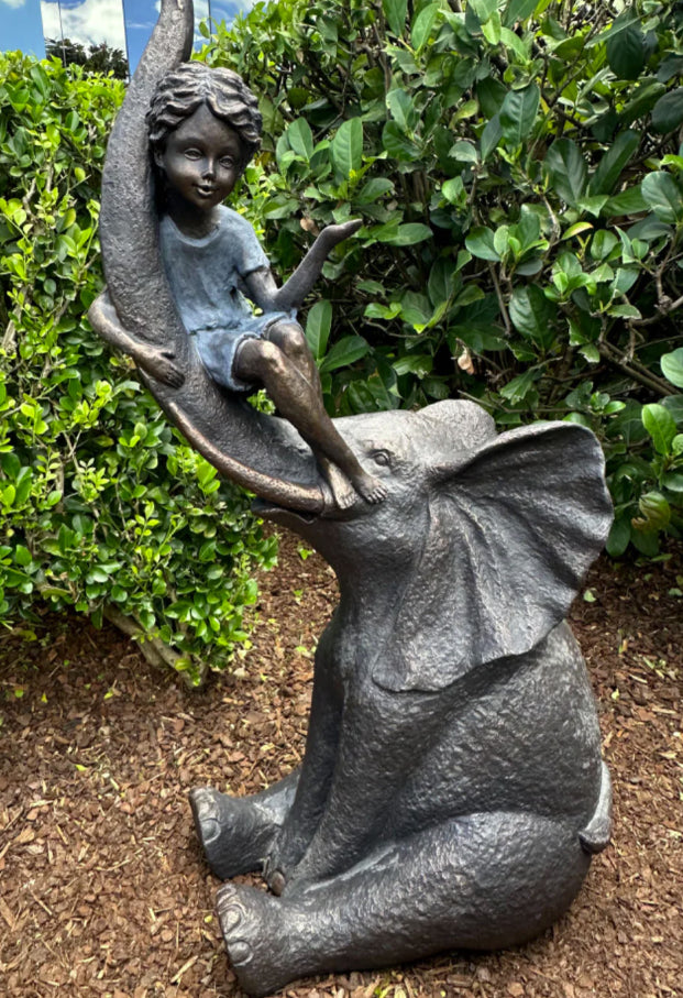 Trust -Boy Riding Elephant Trunk