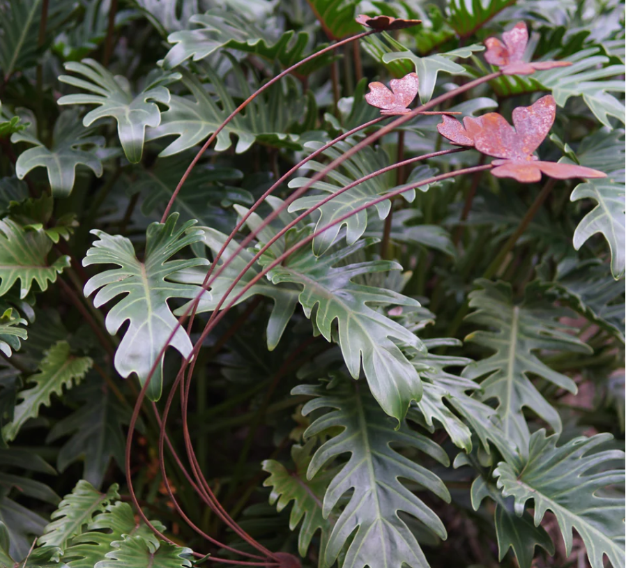 Butterflies-  Five On Curved Stakes