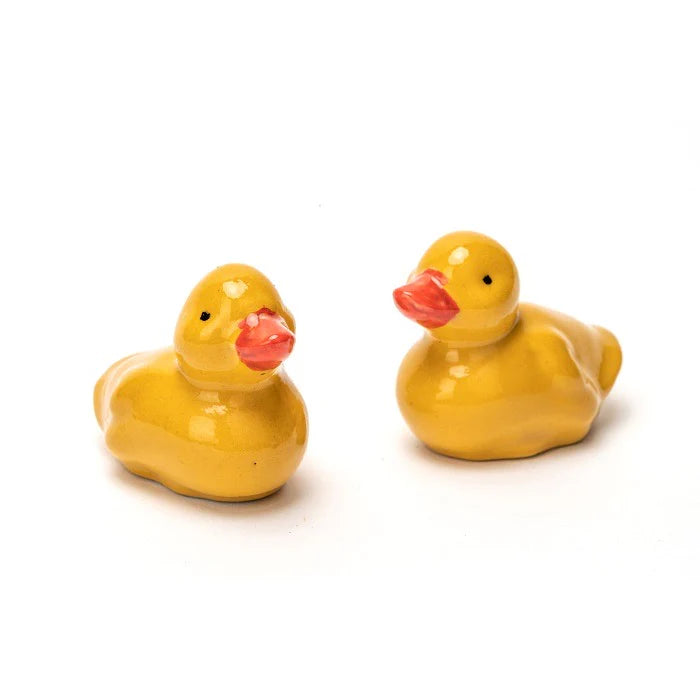 Floating Yellow Duckling