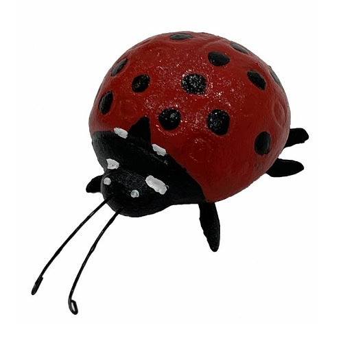 Lady Bug