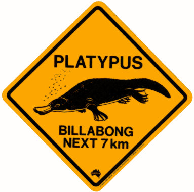 Platypus Magnet