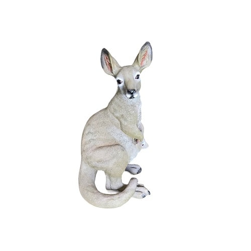 Kangaroo