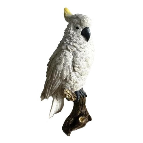 Cockatoo on Stump