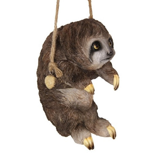 Sloth Hanging