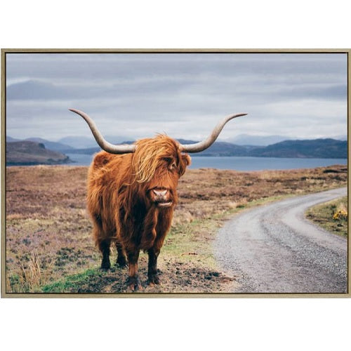 Highland Cow Canvas Print