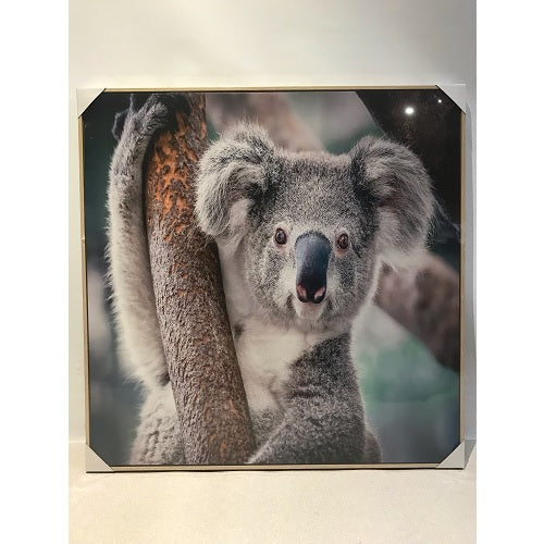 Koala Canvas Print