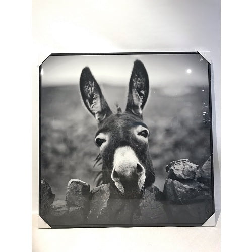 Donkey Canvas